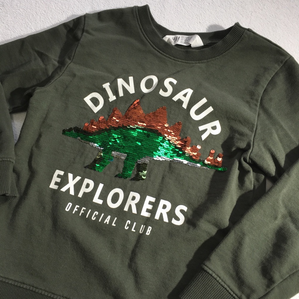 H&M Flip sequin dinosaur olive green sweatshirt
